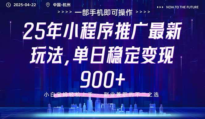 （14494期）25年小程序推广最新玩法，单日稳定变现900+，小白轻松上手-耐玩网创