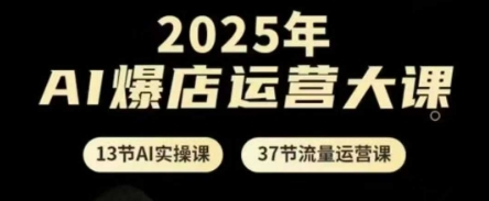 2025年AI爆店运营大课，13节AI实操课+37节流量运营课-耐玩网创