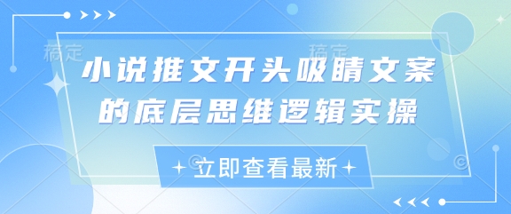 小说推文开头吸睛文案的底层思维逻辑实操-耐玩网创