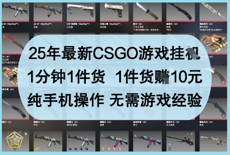 25年最新CSGO游戏挂G，1分钟1件货，1件货挣10元，纯手机操作，无需游戏经验【揭秘】-耐玩网创