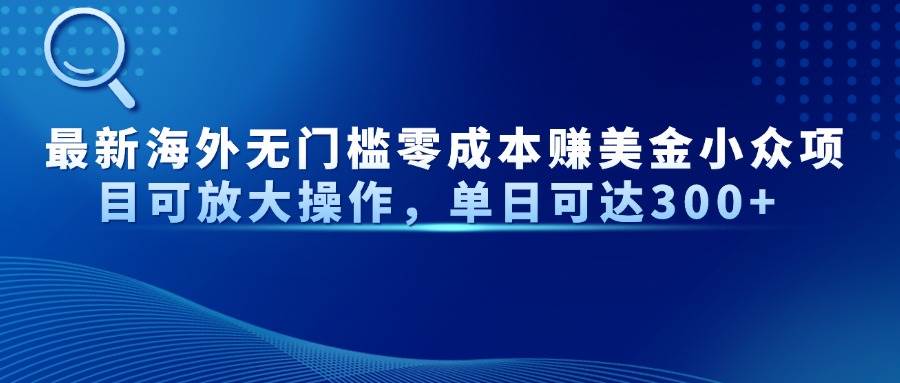 （14542期）最新海外无门槛零成本赚美金小众项目可放大操作，单日可达300+-耐玩网创