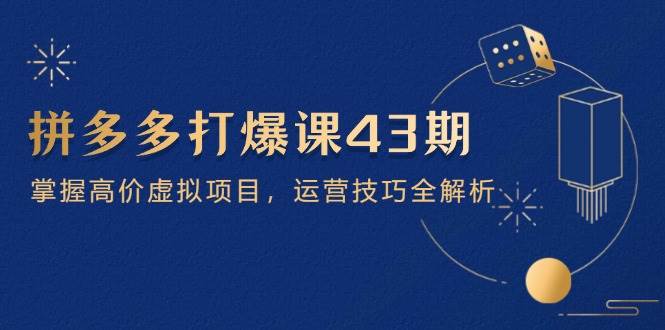 （14546期）拼多多打爆课第 43 期，掌握高价虚拟项目，运营技巧全解析（15节）-耐玩网创