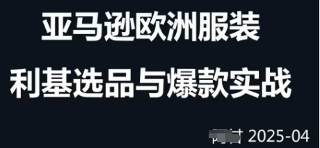 跨境电商选品案例24-25年，聚焦跨境电商选品策略与运营优化，助力卖家挖掘蓝海市场-耐玩网创