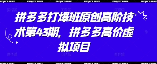 拼多多打爆班原创高阶技术第43期，拼多多高价虚拟项目-耐玩网创