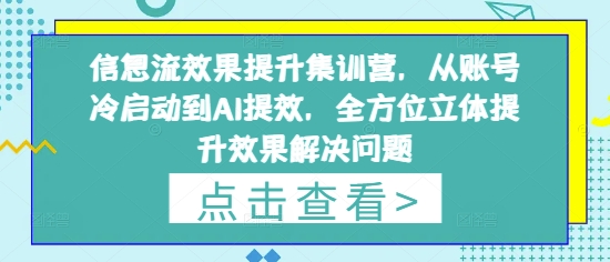 信息流效果提升集训营，从账号冷启动到AI提效，全方位立体提升效果解决问题-耐玩网创