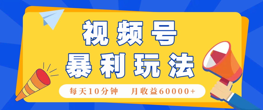 视频号AI赚钱法，每天只需10分钟，月入6万+！（超详细拆解）-耐玩网创