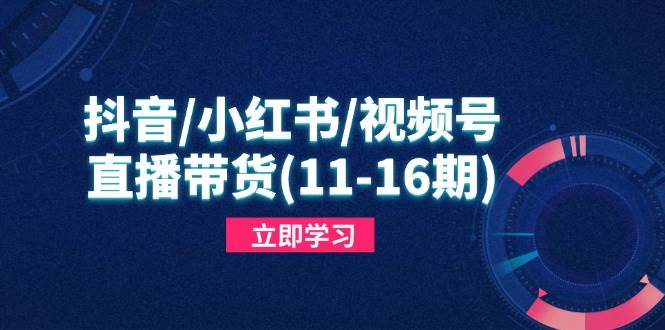 （14611期）抖音/小红书/视频号/直播带货(11-16期)，快速掌握平台规则，打造爆款内容-耐玩网创