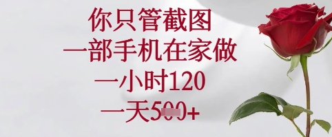 你只管截图，一部手机在家可以做，一小时120.一天5张+【揭秘】-耐玩网创