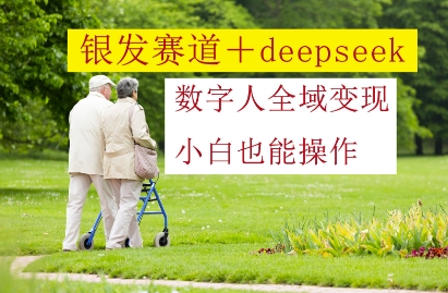 银发赛道+deepseek数字人全域变现，小白也能操作-耐玩网创