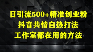 日引流500+精准创业粉，抖音共情自热打法，工作室都在用的方法-耐玩网创