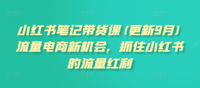 小红书笔记带货课(更新25年4月)流量电商新机会，抓住小红书的流量红利-耐玩网创