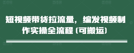 短视频带货拉流量，编发视频制作实操全流程(可搬运)-耐玩网创