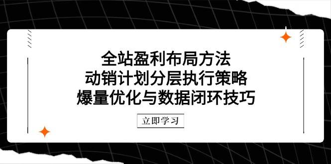 （14698期）全站盈利布局方法：动销计划分层执行策略，爆量优化与数据闭环技巧-耐玩网创