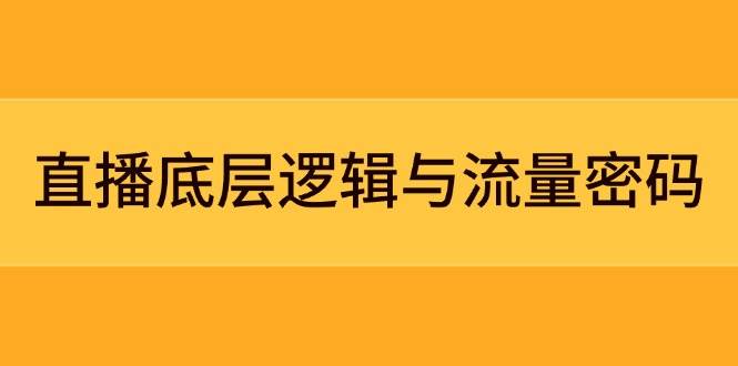 （14695期）直播底层逻辑与流量密码：定位模型+案例拆解，急速流承接与数据优化全攻略-耐玩网创