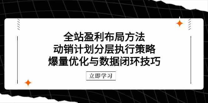 全站盈利布局方法：动销计划分层执行策略，爆量优化与数据闭环技巧-耐玩网创