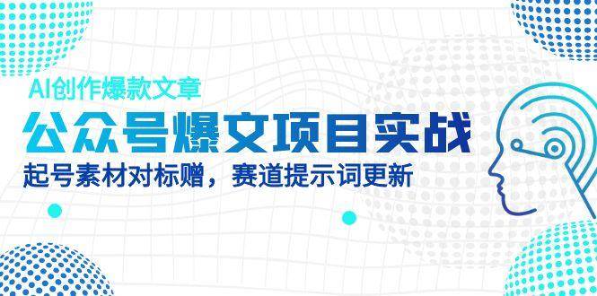 （14709期）公众号爆文项目实战，AI创作爆款文章，起号素材对标赠（附赛道AI提示词）-耐玩网创