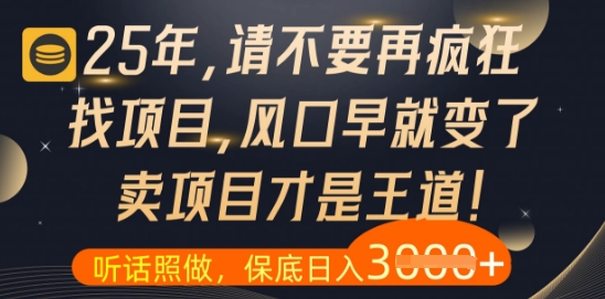 什么？25年你还在疯狂找项目做，醒醒吧，看完这些你全都懂了【揭秘】-耐玩网创