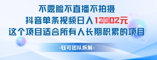 不露脸不直播不拍摄抖音单条视频日入1k+这个项目适合所有人长期积累的项目-耐玩网创