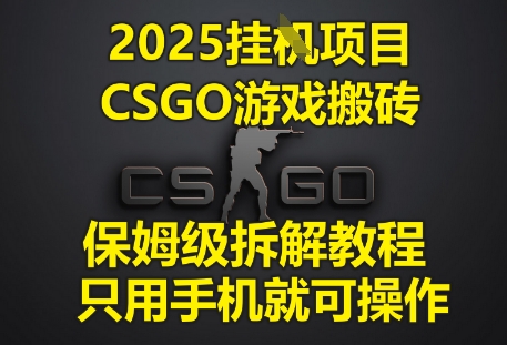 2025挂G项目，CSGO游戏搬砖，保姆级拆解教程，只用手机就可操作【揭秘】-耐玩网创