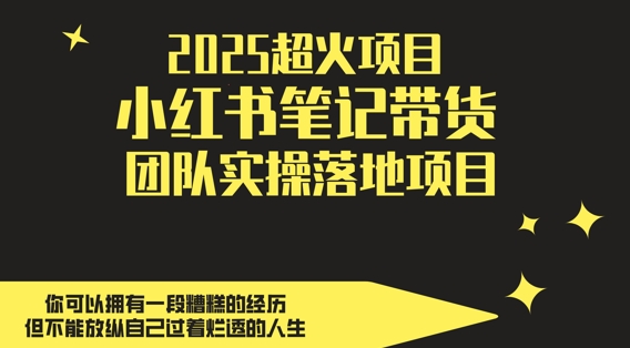 2025超火项目，副业最佳选择，小红书笔记带货团队实操落地项目，，轻松日入5张-耐玩网创
