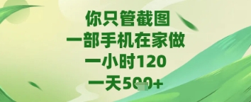 你只管截图，一部手机在家做，苹果安卓都可以，一天5张+【揭秘】-耐玩网创