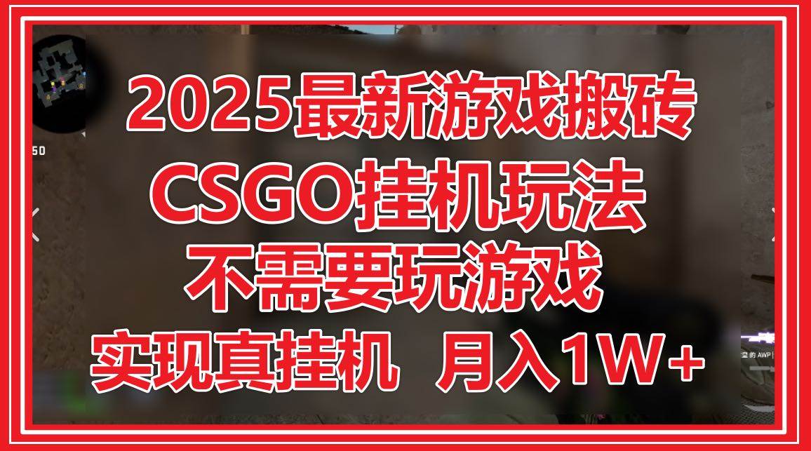 （14743期）2025最新游戏搬砖，CSGO挂机，不需要玩游戏，实现真挂机，月入1W+-耐玩网创