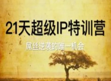 21天超级IP特训营，屌丝逆袭的唯一机会-耐玩网创