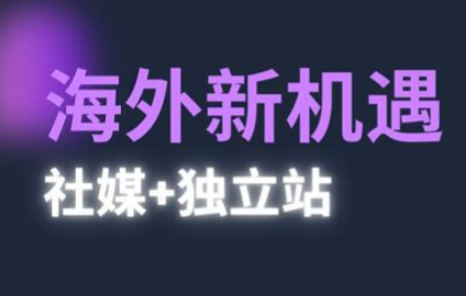 2025出海新机遇(社媒+独立站)，海外新机遇，实现独立站的高效运营与出海-耐玩网创