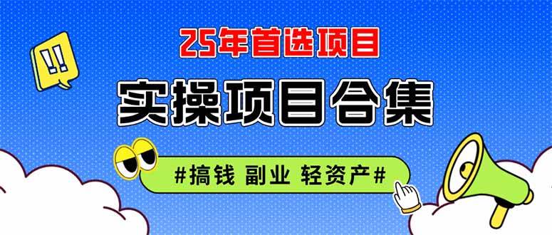 （14767期）2025实操项目合集 挂机类型 直播类型 轻资产创业类型 课程分享各项目介…-耐玩网创