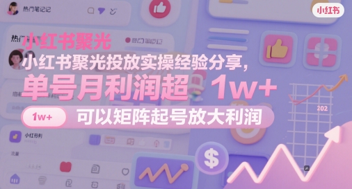 小红书聚光投放实操经验分享，单号月利润超1w+，可以矩阵起号放大利润-耐玩网创
