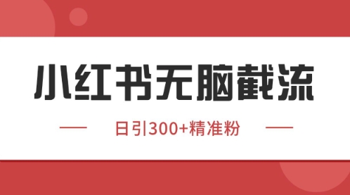 小红书只要你有同行就能获客，独家野路子获客玩法，暴力截流【揭秘】-耐玩网创