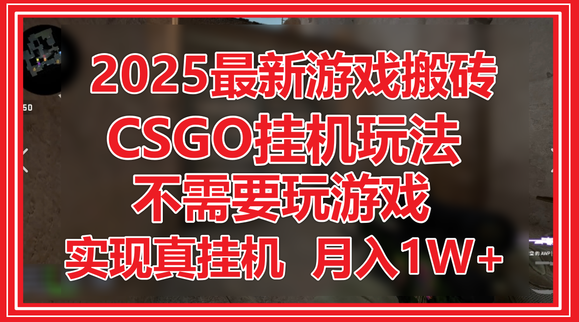 2025最新游戏搬砖，CSGO挂机，不需要玩游戏，实现真挂机，月入1W+-耐玩网创