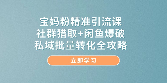 （14820期）宝妈粉精准引流课，社群猎取+闲鱼爆破，私域批量转化全攻略-耐玩网创