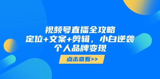 视频号直播全攻略，定位+文案+剪辑，小白逆袭个人品牌变现-耐玩网创