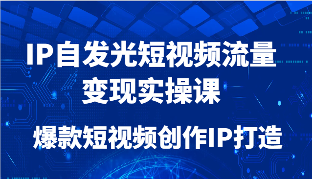 IP自发光短视频流量变现实操课，爆款短视频创作IP打造-耐玩网创