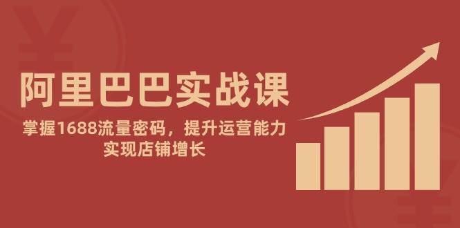 （14830期）阿里巴巴实战课：掌握1688流量密码，提升运营能力，实现店铺增长-耐玩网创