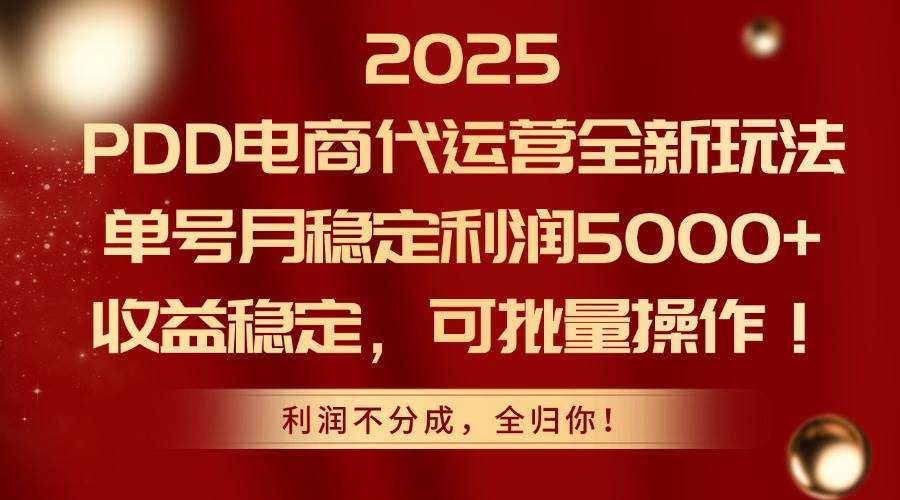 （14839期）2025PDD电商代运营全新玩法，单号月稳定利润5000+，收益稳定，可批量操作-耐玩网创