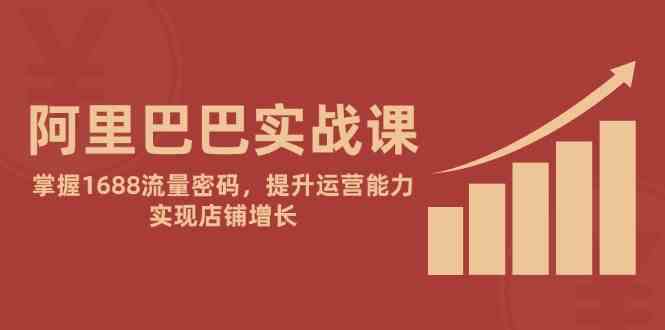 阿里巴巴实战课：掌握1688流量密码，提升运营能力，实现店铺增长-耐玩网创