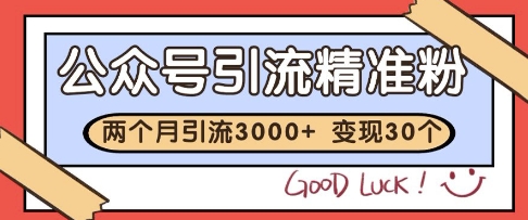 公众号精准粉引流玩法，2个月3000+精准粉，变现30个W【揭秘】-耐玩网创