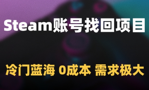 Steam账号找回项目，冷门蓝海，0成本，需求极大-耐玩网创