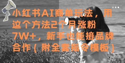 小红书AI商单玩法，用这个方法2个月涨粉7W+，新手也能接品牌合作(附全套指令模板)-耐玩网创