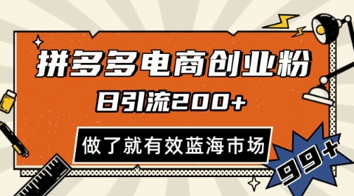 拼多多引流电商创业粉，日引200+，可矩阵放大，做了就有效【揭秘】-耐玩网创
