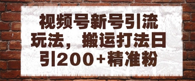 视频号新号引流玩法，搬运打法日引200+精准粉，可矩阵放大【揭秘】-耐玩网创