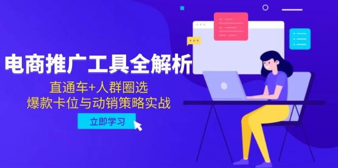 （14869期）电商推广工具全解析，直通车+人群圈选，爆款卡位与动销策略实战-耐玩网创