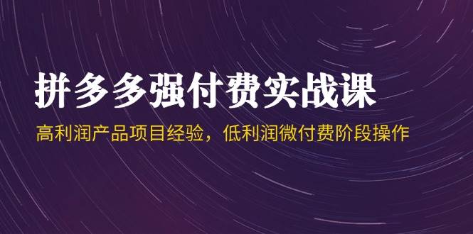 （14874期）拼多多强付费实战课-44期，高利润产品项目经验，低利润微付费阶段操作-耐玩网创