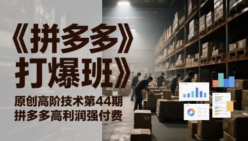 《拼多多打爆班》原创高阶技术第44期，拼多多高利润强付费-耐玩网创