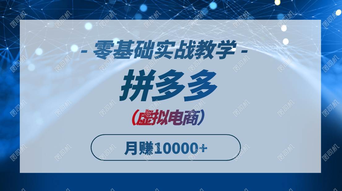 （14880期）拼多多虚拟电商，零基础实战教学，快速打爆商品，新手也能月入10000+-耐玩网创