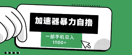 205新风口，加速器暴力自撸，单机日入1k+【揭秘】-耐玩网创