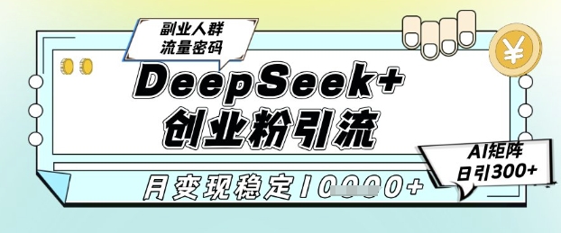 DeepSeek+创业粉精准引流，全新分享课4.0玩法，AI矩阵日引300+，多种变现方式，稳定月入1W-耐玩网创