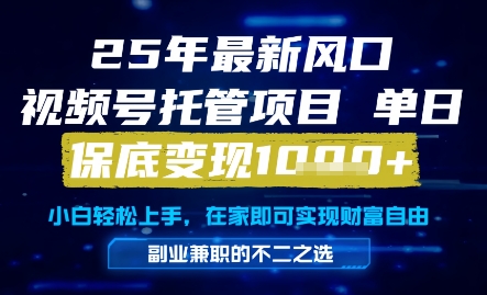 25年最新风口，视频号托管项目，单日保底变现1k+，手把手教学【揭秘】-耐玩网创